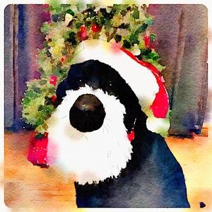 Meet your Posher, Bobbi